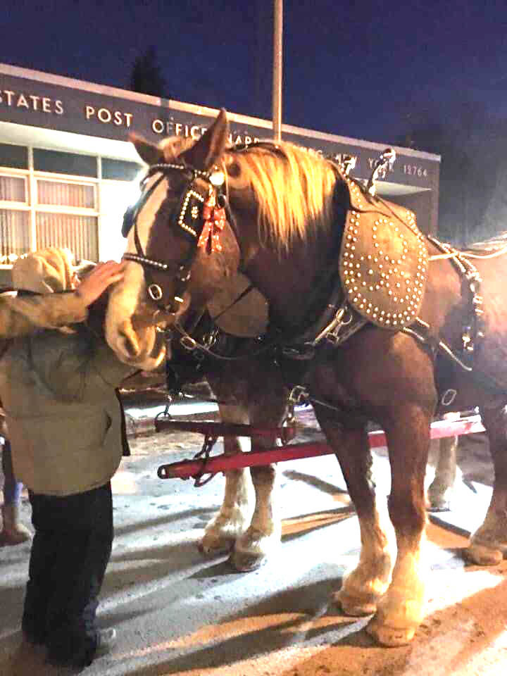 Take a ride in a horse-drawn carriage at Christmas Magic on Main Street in Narrowsburg.